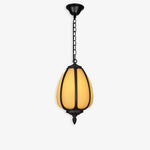 Vintage_pumpkin_Pendant_Lamp_1