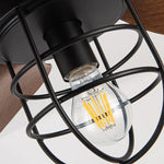 Vintora_Ceiilng_Fan_Lamp_6