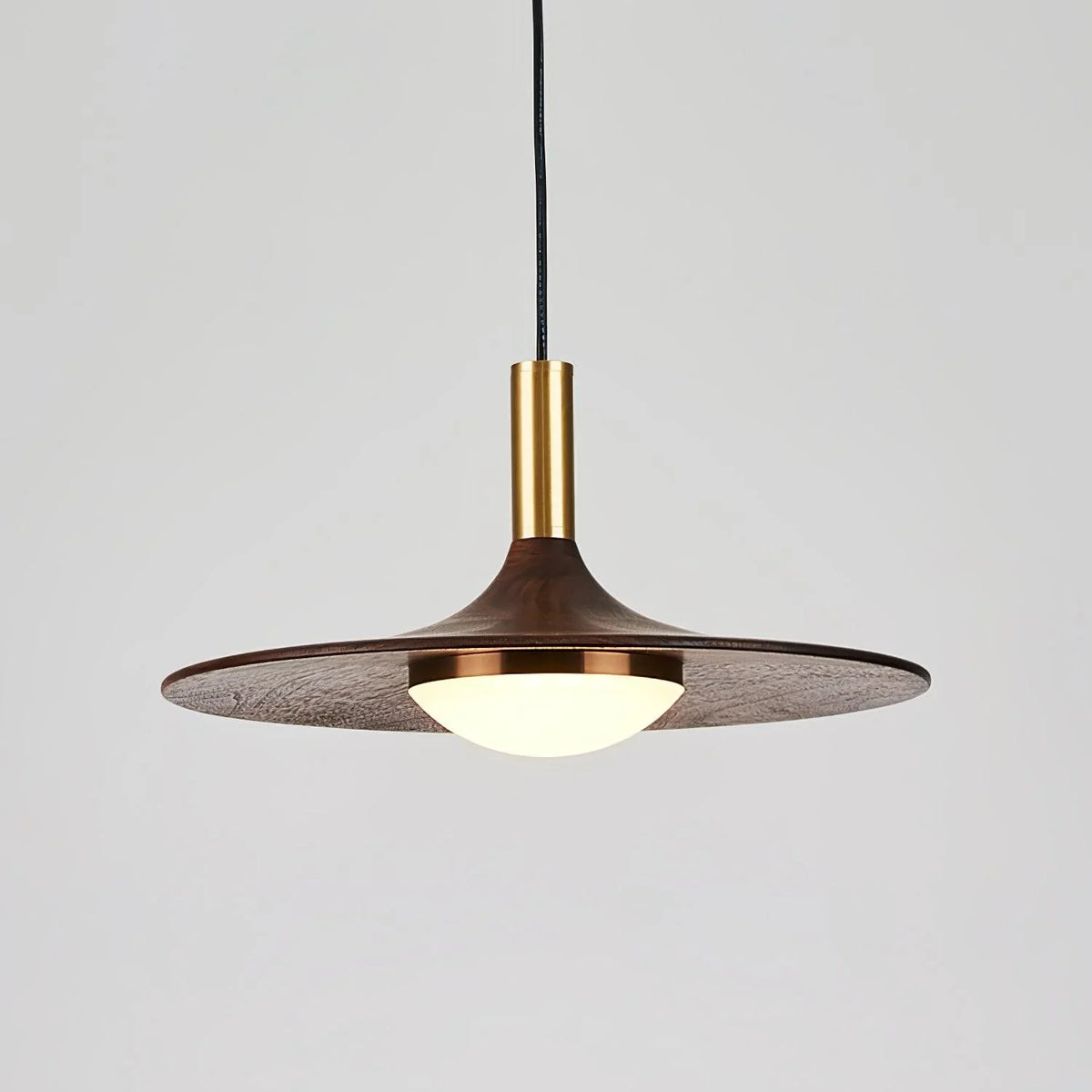 Wood_Dish_LED_Pendant_Light_16