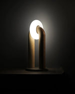 Xuanguang Table Lamp 14