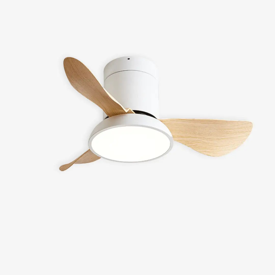Zentis_Ceiling_Fan_Lamp_1