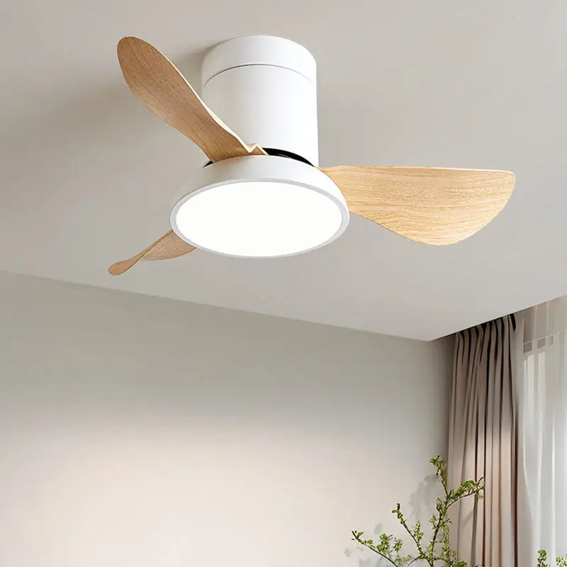 Zentis_Ceiling_Fan_Lamp_12