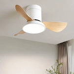 Zentis_Ceiling_Fan_Lamp_12