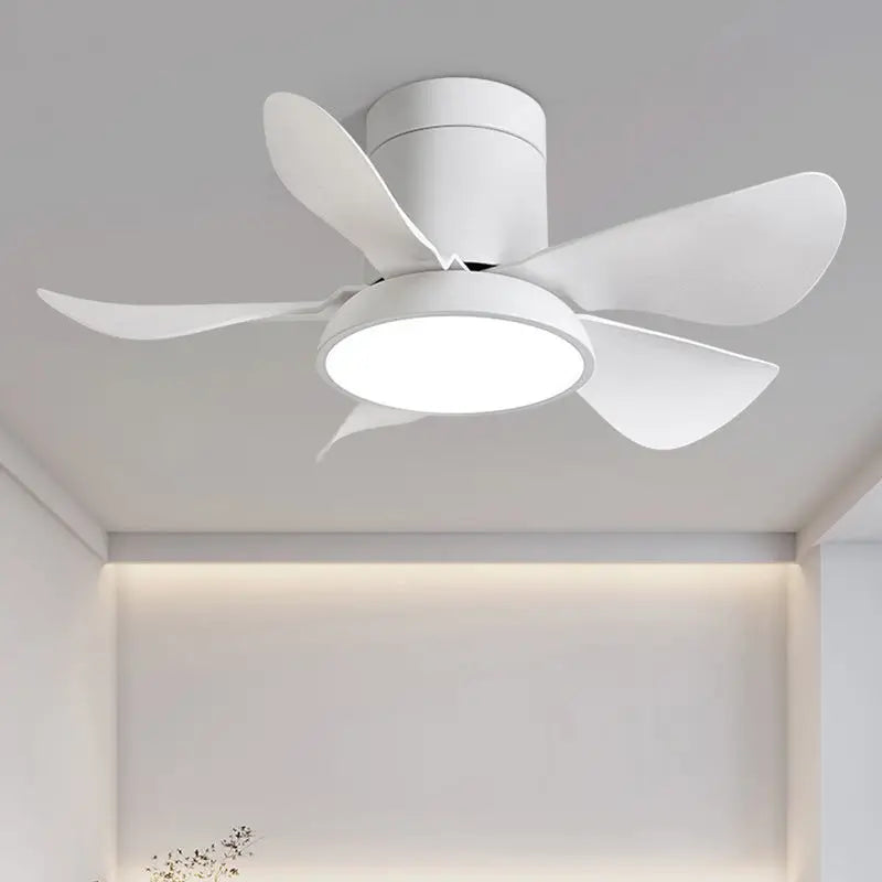 Zentis_Ceiling_Fan_Lamp_13
