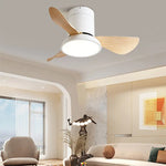Zentis_Ceiling_Fan_Lamp_15