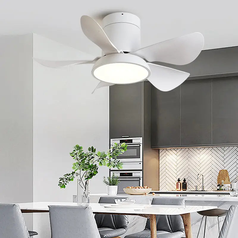 Zentis_Ceiling_Fan_Lamp_16