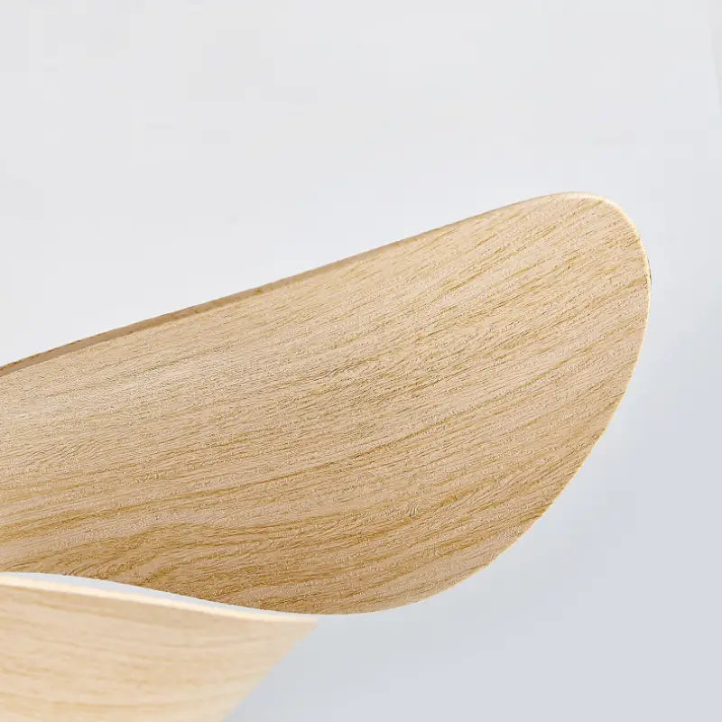 Zentis_Ceiling_Fan_Lamp_19