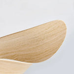 Zentis_Ceiling_Fan_Lamp_19