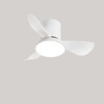 Zentis_Ceiling_Fan_Lamp_2
