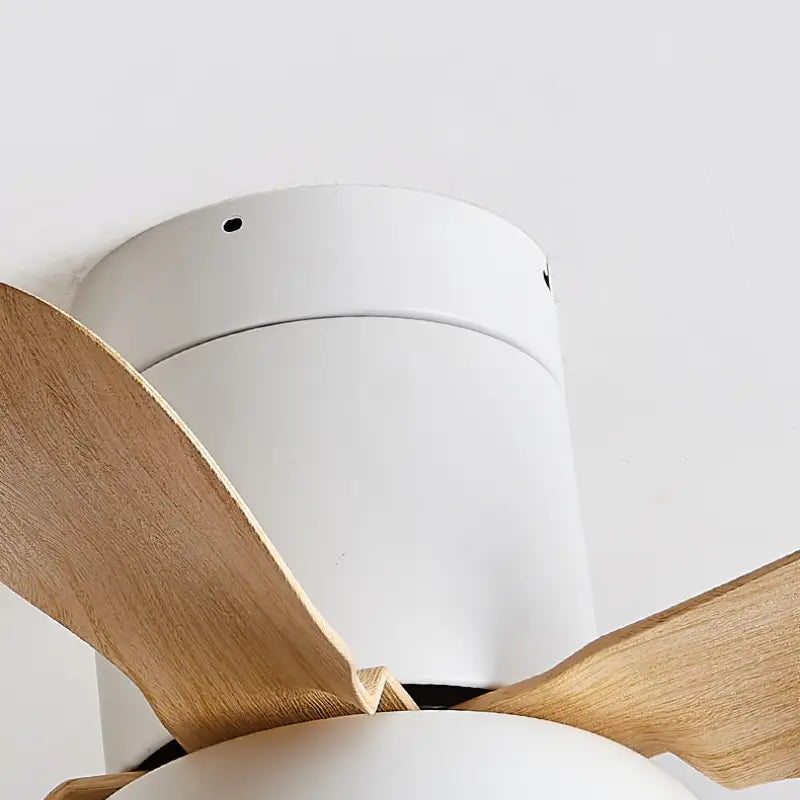 Zentis_Ceiling_Fan_Lamp_21