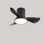 Zentis_Ceiling_Fan_Lamp_3