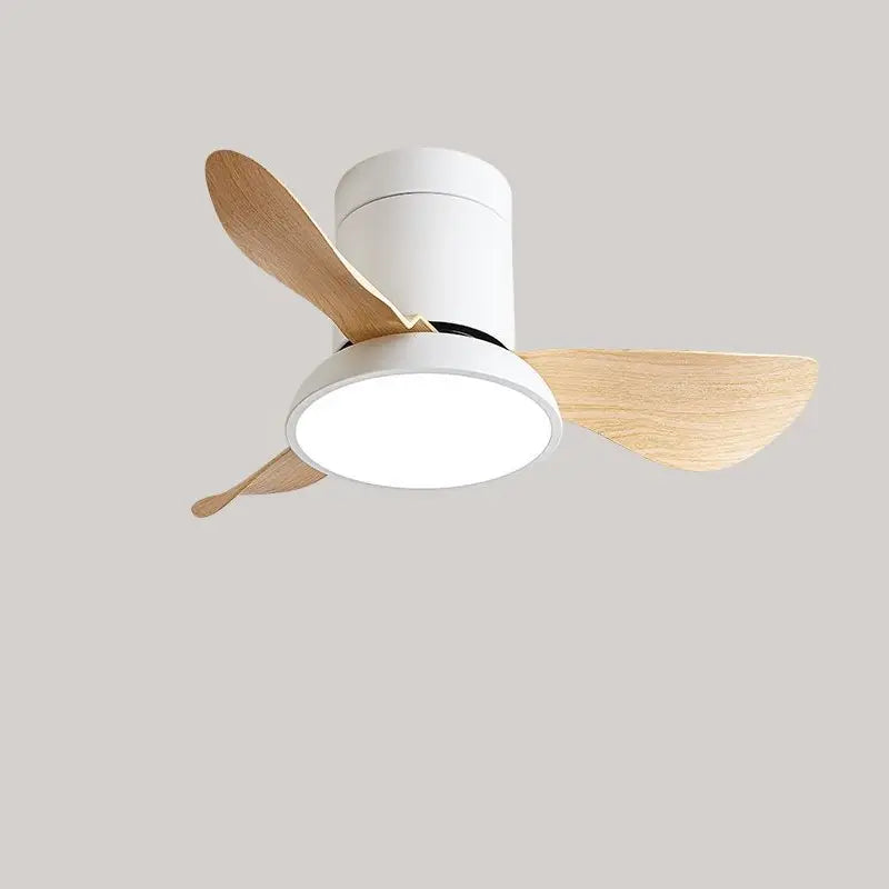 Zentis_Ceiling_Fan_Lamp_4
